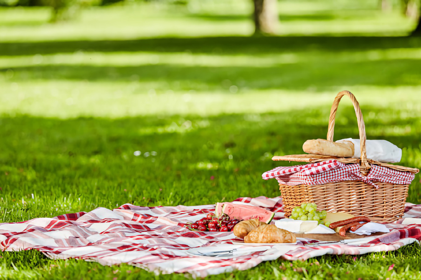 Polyurethane, a reliable material for an ideal picnic